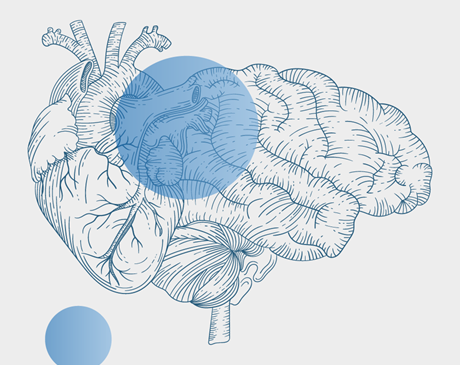Illustration of a brain overlaid with a semi-transparent blue circle.  